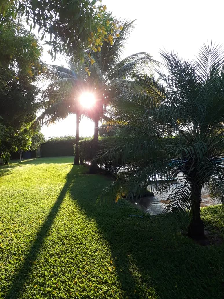 Chácara de 3000m² em Barretos, SP — foto 3