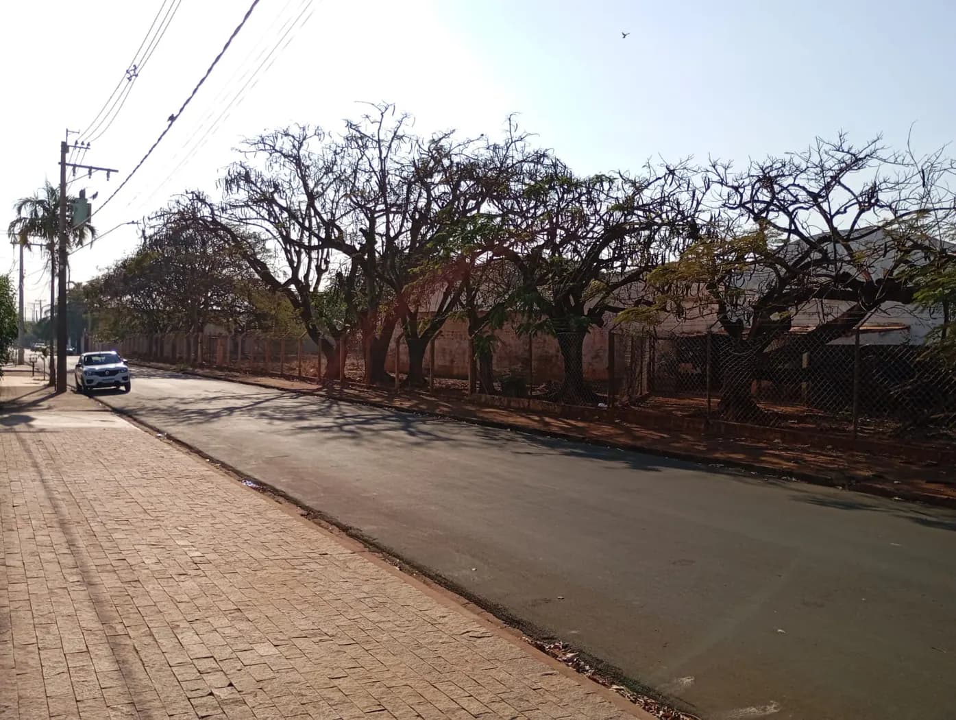 Comercial de 12m² em Barretos, SP — foto 10