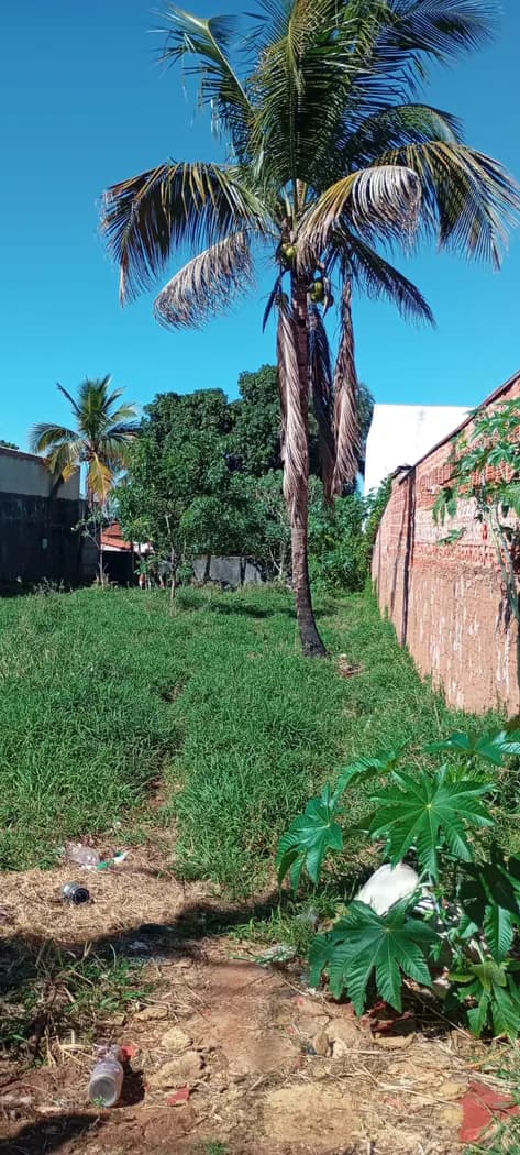 Terreno de 581.25m² em Barretos, SP — foto 3